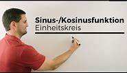 Sinus-/Kosinusfunktion verdeutlicht mit Einheitskreis, Kreisfunktionen | Mathe by Daniel Jung