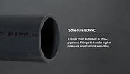 Charlotte Pipe 2 in. Schedule 80 Male Adapter S x MPT PVC 08109 1600HA