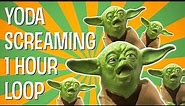 YODA SCREAMING 1 HOUR LOOP - The Puppet Yoda Show
