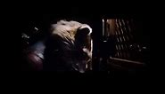 Rocket saves his raccoon friends |Guardians of the Galaxy 3 #video #guardiansofthegalaxy #marvel