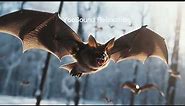 8 hours Repellent Anti Bats Sound | Ultrasonic Sound | Get Rid Of Bats | High Frequency | No Bats