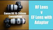 Canon R6 with the EF lens Adapter - Does it work?