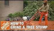 How To Grind A Tree Stump | The Home Depot