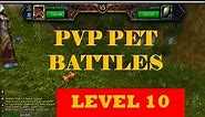 WoW Pet Battles for Beginners: PvP Battle