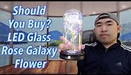 Should You Buy? LED Glass Rose Galaxy Flower