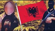 How the Albanian Mafia RUINED the Stardawg Strains...