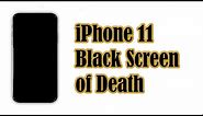 How to Fix the iPhone 11 Black Screen of Death issue