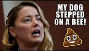 Amber Heard "My Dog Stepped on a Bee!" - Ultimate Compilation