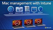 macOS management with Microsoft Intune | Deployment, single sign-on, settings, apps & DDM