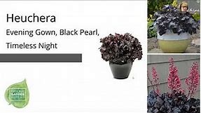 Find the perfect plants for your Goth Garden right here!