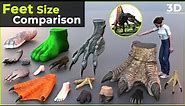 Feets size comparison | Size Comparison | Biggest Feet