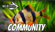 Top 10 Community Fish!