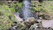 Goathland Walk & Mallyan Spout Waterfall