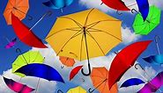 National Umbrella Day 2021: Quotes On The Everyday Essential That Doesn't Get Enough Credit