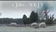 The Book of 1 John - New King James Version (NKJV) - Audio Bible