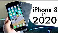 iPhone 8 In 2020! (Still Worth It?) (Review)