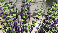 6 pcs Long Artificial Jasmine Flowers,Halloween Floral Picks Branches with Black Purple Green Jasmine Flowers Halloween Flowers Stems Halloween Decorations for Home Centerpieces