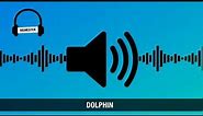 Dolphin meme sound effect