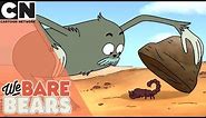 We Bare Bears | Confused Charlie | Triple Play | Cartoon Network