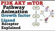 Protein kinase b pathway | PI3k akt mtor pathway animation