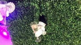 Living Champagne Wall / Living Hedge Wall for RENT