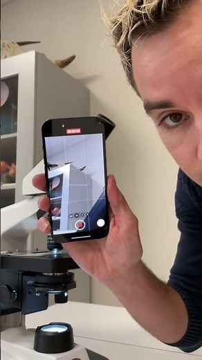 Tuto photo au microscope 📸￼