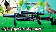 Egyptian Goose Hunt - FX Impact M3 800mm - Javelin Slugs - Air Gun Hunting - Hunting Rifles