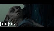 Dobby's Death | Harry Potter and the Deathly Hallows Part 1