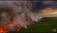 Filming a Raging Forest Fire | North America