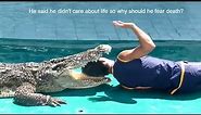 Crocodile Funny Videos - Funny Videos Compilation 2016