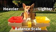 Professor Ginger Measures Weight Using a Balance Scale 4K