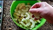 Cinnamon Freeze Dried Apples in the Harvest Right