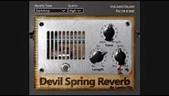 Devil Spring Reverb (rebirth)