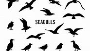Silhouettes of flying seagulls., a Graphic by Riots Brush