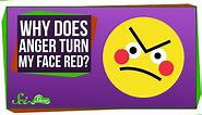 Why Does My Face Turn Red When I'm Angry?