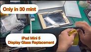 iPad Mini 5 Lcd Glass Repair | How to Replace/Change iPad Mini 5 Display Screen Top/Front Glass