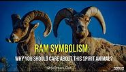 Ram Symbolism: Why You Should Care About This Spirit Animal?