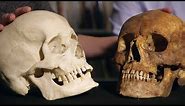 3D Printing a Human Skull | Secrets of Bones | BBC Earth