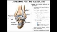 The Subtalar Joint | Anatomy, Basic Movements, & Ligaments