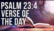 Psalm 23:4 Spiritual Thought | Bible Verse With Explanation | Psalm 23:4 Explanation