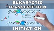 Transcription Initiation in Eukaryotes