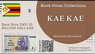 ZWD 10000000000 | Bank Note | Ten Billion Dollar | Kae Kae | CurrencyStackerKK | Zimbabwe | Africa