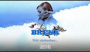 Lepa Brena - Grad - (Audio 2008)