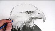 How to Draw an Eagle's Head Narrated Step by Step