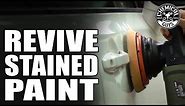 How To Revive Faded And Stained Paint! - Chemical Guys Car Care