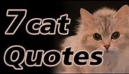 7 quotes about cats (beautiful cat quotes)