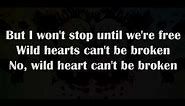 P!nk - Wild hearts can't be broken [Lyrics]