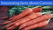 50 interesting facts about Carrot | facts about