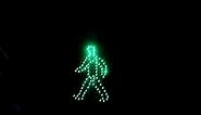 LED Dynamic Pedestrian Traffic Light | Fama traffic