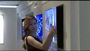 LG Display OLED Wallpaper TV (long)